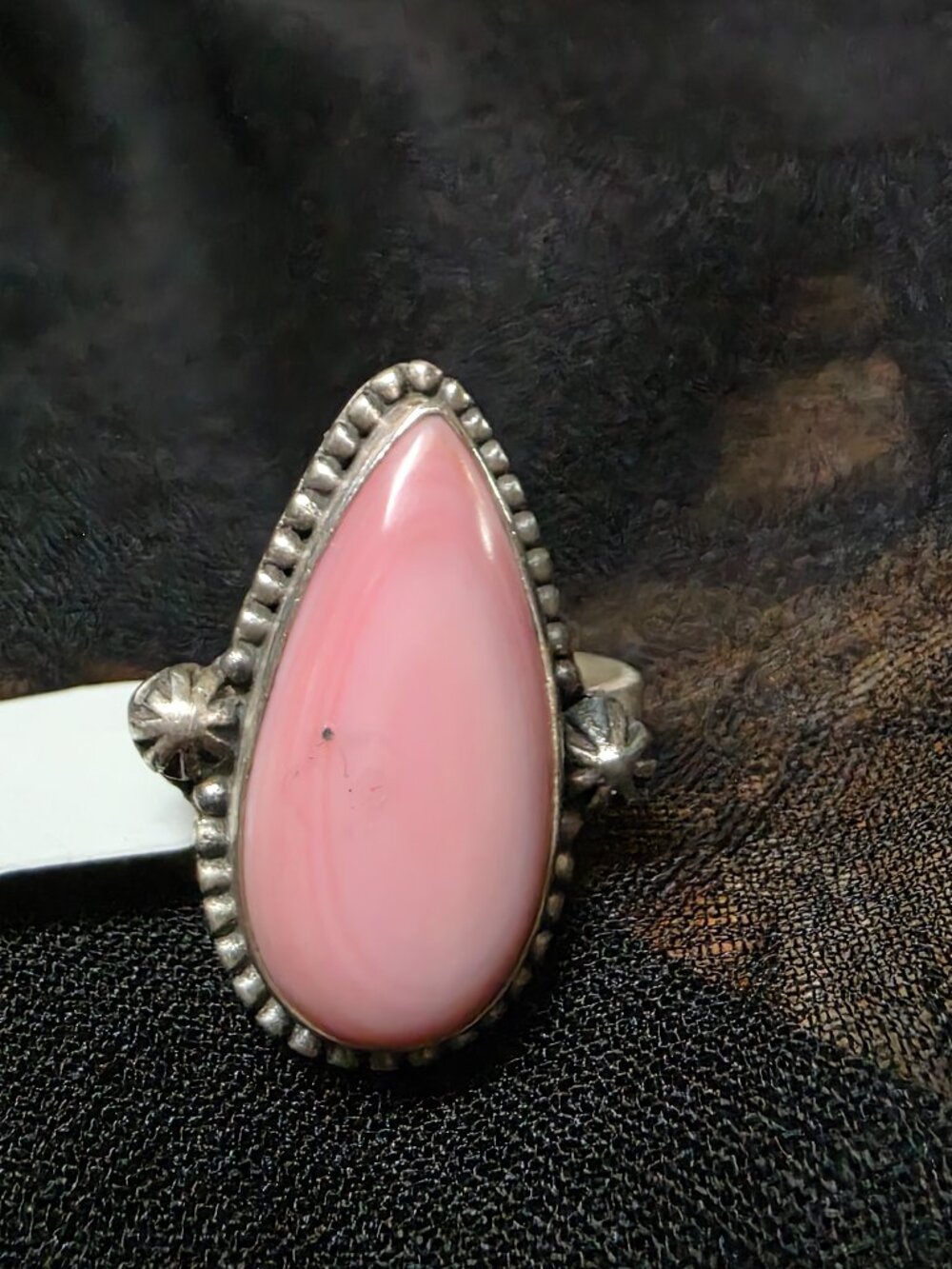 NWT-Natural conch shell